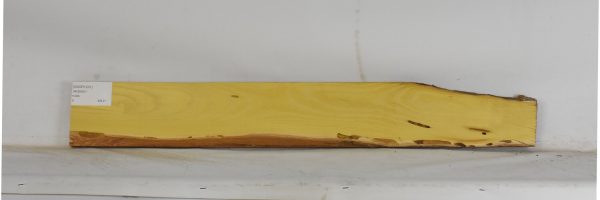 OSOR1231_2