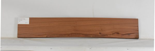 PAUFER1226_2