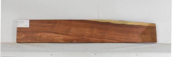 PAUFER1233_1