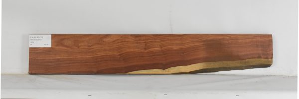 PAUFER1233_2