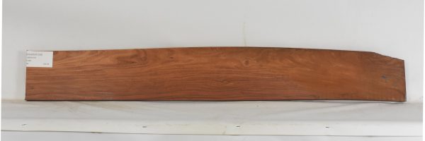 PAUFER1236_1