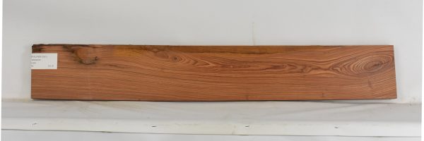 PAUFER1241_1