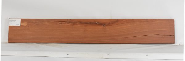 PAUFER1242_1