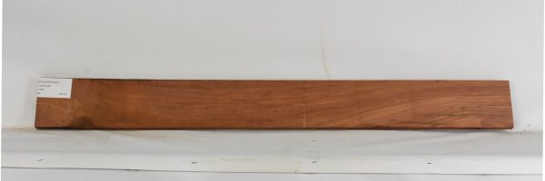 PAUFER1243_1