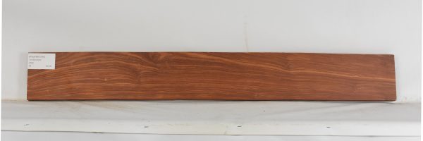 PAUFER1244_1