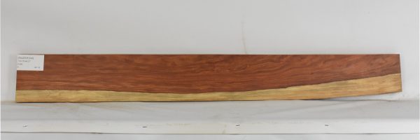 PAUFER1245_1