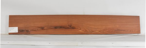 PAUFER1246_1