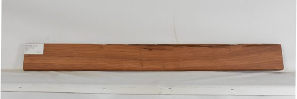 PAUFER1247_1