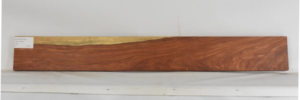 PAUFER1249_1
