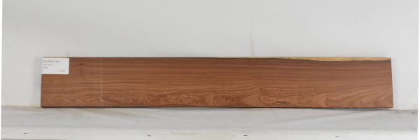 PAUROS1125_2