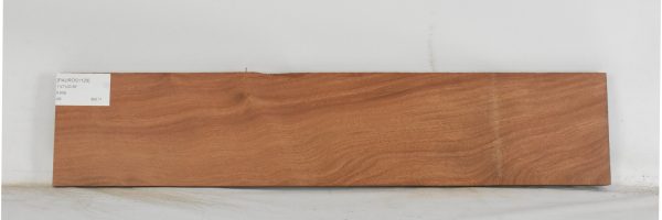 PAUROS1129_1