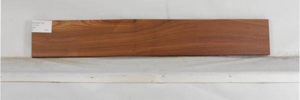 PAUROS1130_1