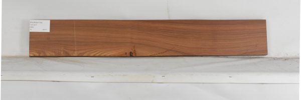 PAUROS1130_2