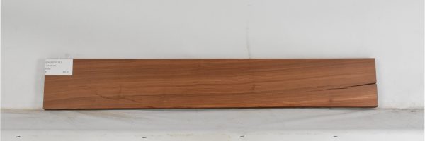 PAUROS1131_1