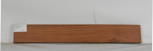 PAUROS1134_2