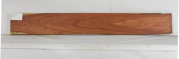 PAUROS1137_1
