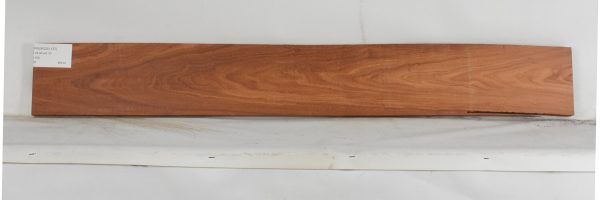 PAUROS1137_2