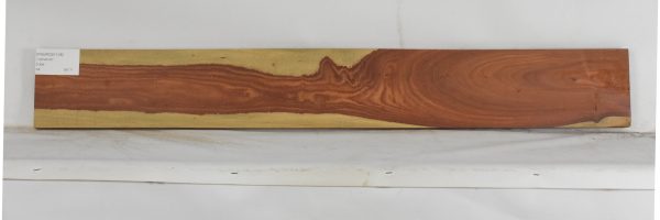 PAUROS1138_2