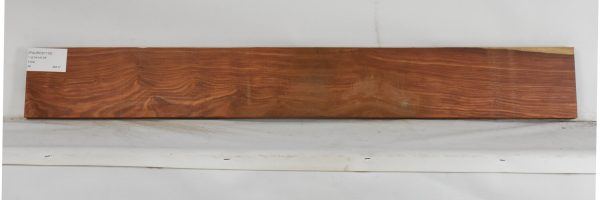 PAUROS1139_1
