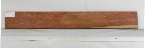 PAUROS1139_2
