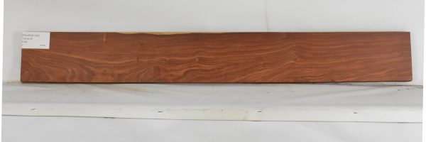 PAUROS1140_1
