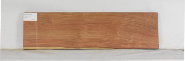 PAUROS1145_2