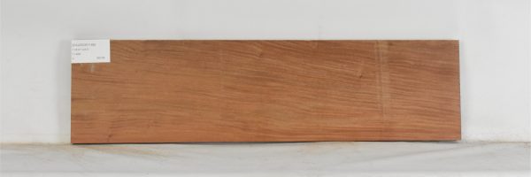 PAUROS1148_1