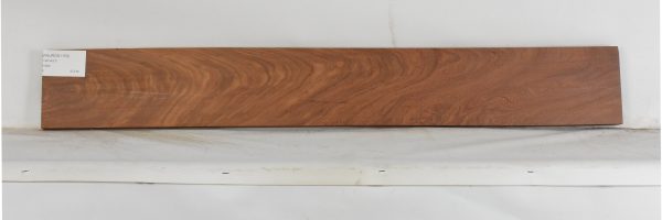 PAUROS1150_2