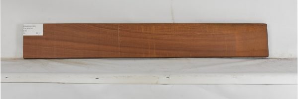 PAUROS1151_1