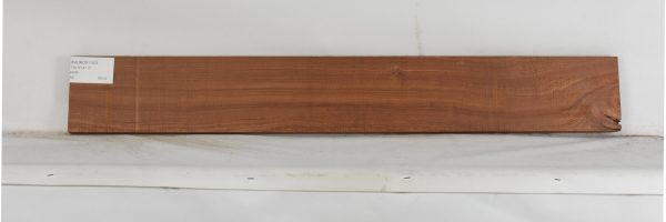 PAUROS1152_1
