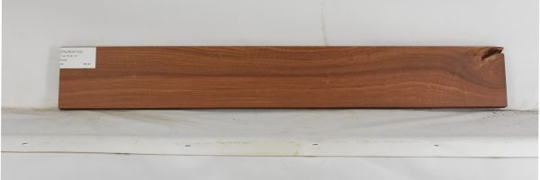 PAUROS1152_2