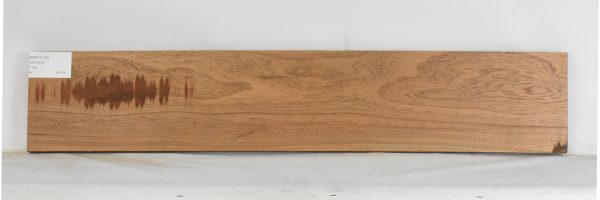 SIPO1174_1
