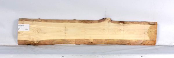 SYCFR1079_1