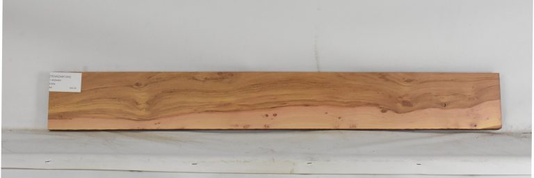 TEAKZAM1354_1