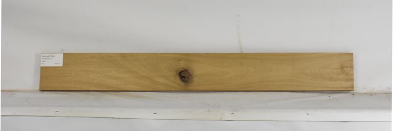 WALNAF1295_1