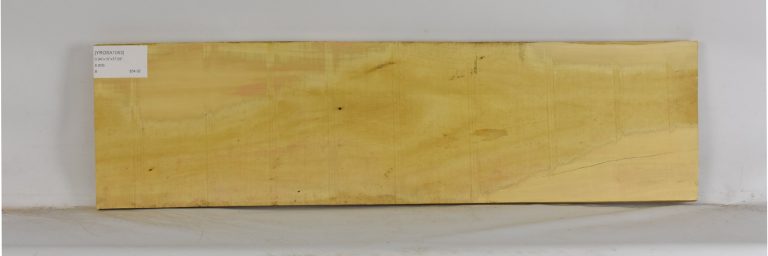 YROSA1053_1