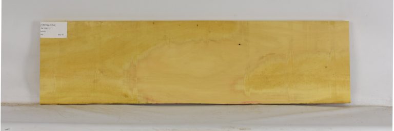 YROSA1054_1