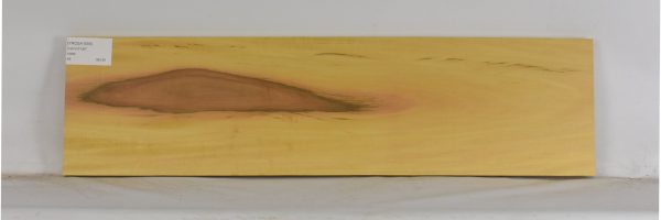 YROSA1055_2