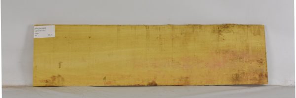 YROSA1060_2
