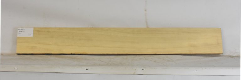 AVO1267_1