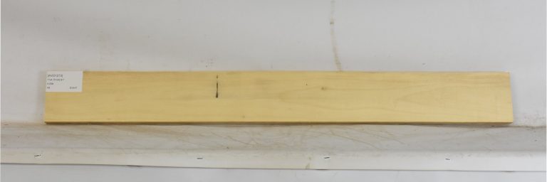 AVO1273_1