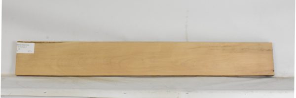 BEECHAM1119_2