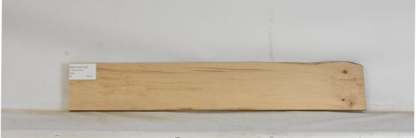BEECHAM1125_1