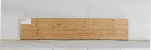 BERL1123_1