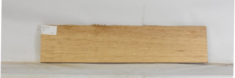 BERL1129_1
