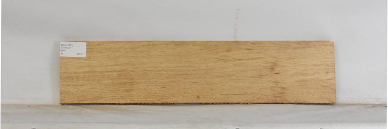 BERL1131_1