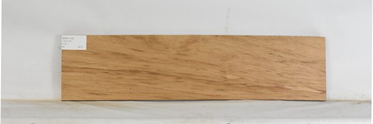 BERL1135_1