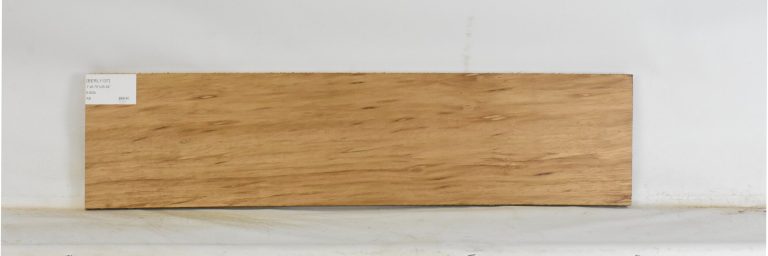 BERL1137_1