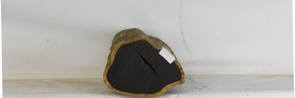 BLAF1288_2