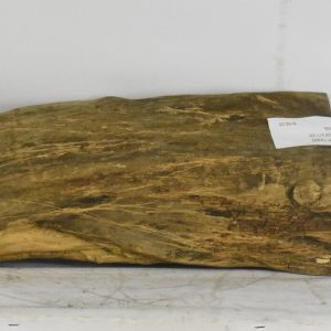 BLAF1289_1